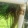 Rare Vintage Raleigh Equipe Mens Bicycle Image 7