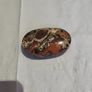 Money palm stone Image 4