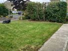 Garden services Image 6