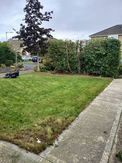 Garden services
