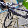 Brooke Pendleton Bike Image 2