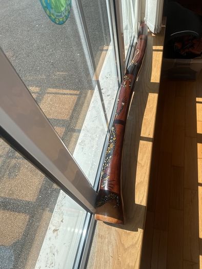 Hardwood Didgeridoo | Hand-Painted Goanna Artwork | Excellent Condition