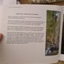 Stories From Life By Ignatius Waters. C. P. Beautiful Illustrated Large Volume Hardback With Dustjacket In Very Good Condition.make Lovely Christmas Present. 34. Image 8