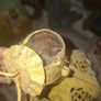 Vintage Large Moroccan, Moorish, or North African Hanging Lantern, Postage available or Collection Image 4