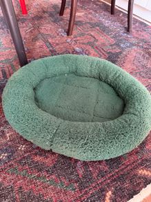 cat bed green