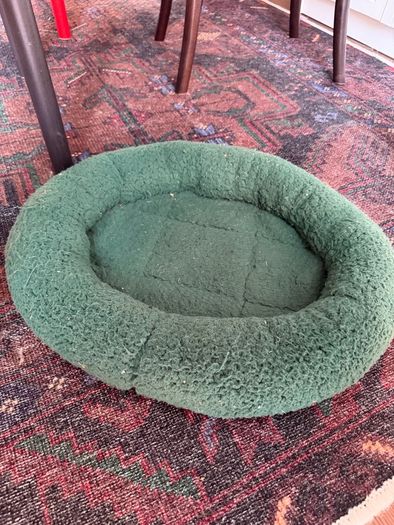 cat bed green