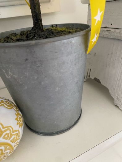 Shabby-Chic Greenery in a pot with Ribbon