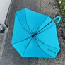 Umbrella Image 4