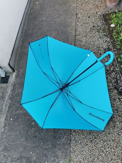 Umbrella