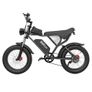 Ridstar Q20 Electric Bike Image 4