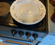 Dinner plates