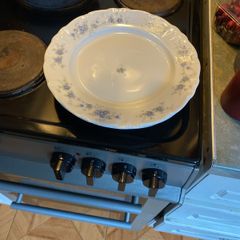 Dinner plates