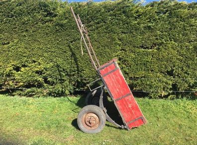 Donkey cart