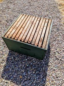 beekeeping