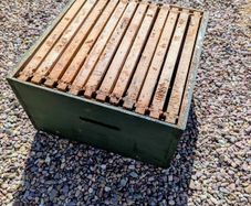 beekeeping