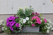 Window box