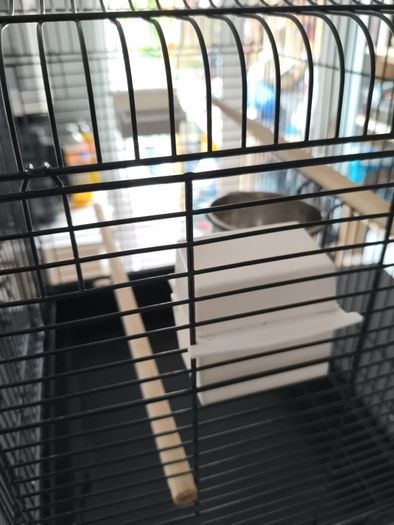 Bird cage