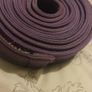 Purple belt martial arts Image 2