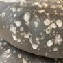New Double Bubble Decorative Vase Image 7