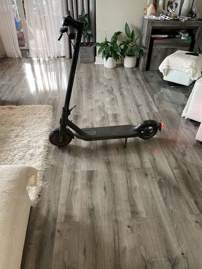 Electric scooter