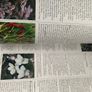 The RHS A-Z Garden Encyclopedia (Hardbck, 1996) Image 8
