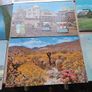 33 x USA And Canadian Mid Century Postcards Image 5