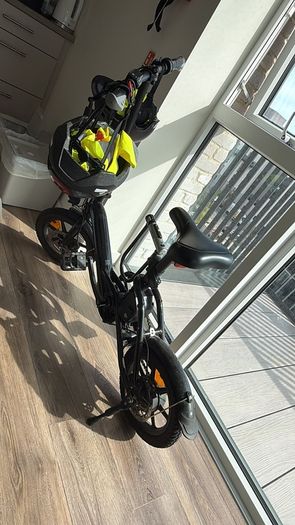 Fiido D3 Pro Electric Bike