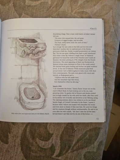 A Burren Journal.  By Sarah Poyntz. Illustrated By Gordon D'arcy & Anne Corff. Large Volume Paperback In Good Condition.  See Photos For Same.