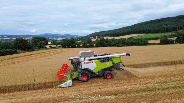 Claas trion 650 combine 4WD