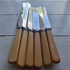 Vintage Faux Bone Handle Butter Knives