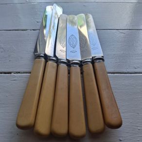 Vintage Faux Bone Handle Butter Knives
