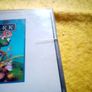 The theme park World PlayStation1 Ps1 PlayStation 2 ps2 games Original Image 2