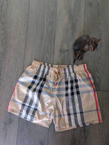 Burberry luxury swim shorts