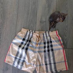 Burberry luxury swim shorts