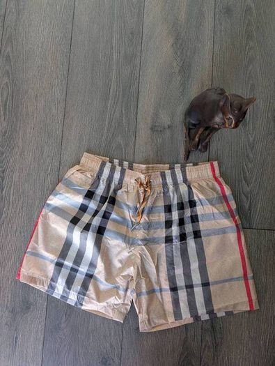 Burberry luxury swim shorts