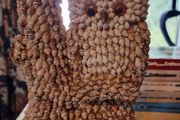 Owl made of shell ornament