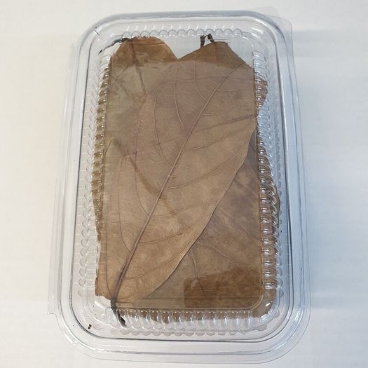 Jack,Maple,Guave,Walnut,Mulberry Leaves ect... 1000ml