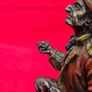 Pirate Captain with Treasure - Veronese Design, 2000 Image 8