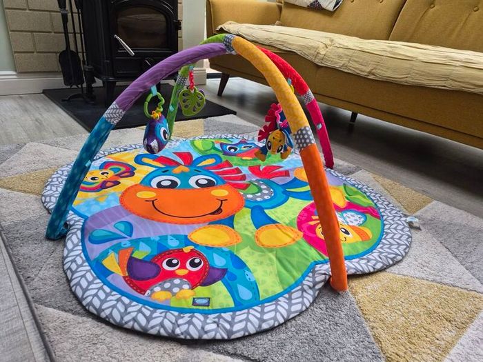 play Gro baby gym