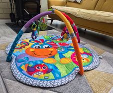play Gro baby gym