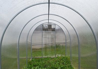 Polycarbonate Greenhouse Compact 2x4m