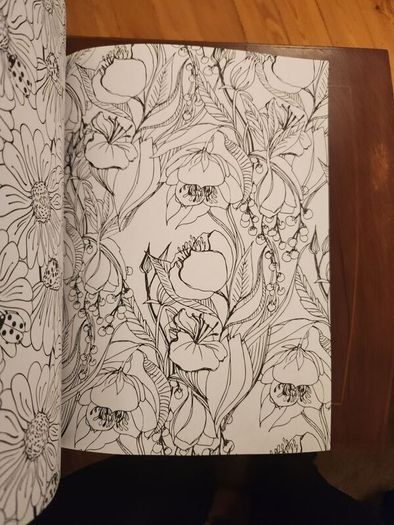 The Flowers And Nature Colouring Book.  Large Volume Paperback In Good Condition.