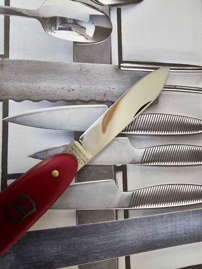 Vintage 1950s Victoria Victorinox Swiss Army Knife with Bail Retired 84mm model Collectable