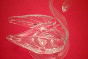 Swan