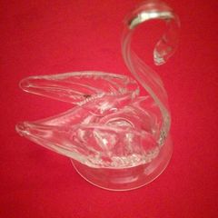 Swan