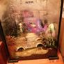 30l aquarium Image 2