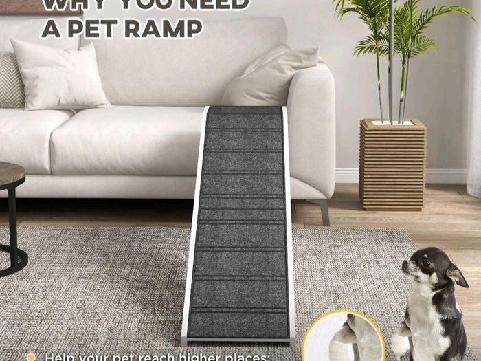 pet ramp