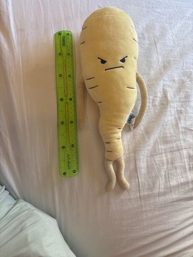 Wicked Parsnip From Kevin The Carrot Aldi Franchise Plush Christmas 2018