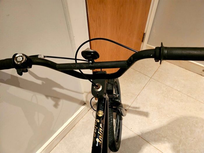X-Rated Spine BMX bike 20"