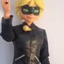 Cat noir Image 3